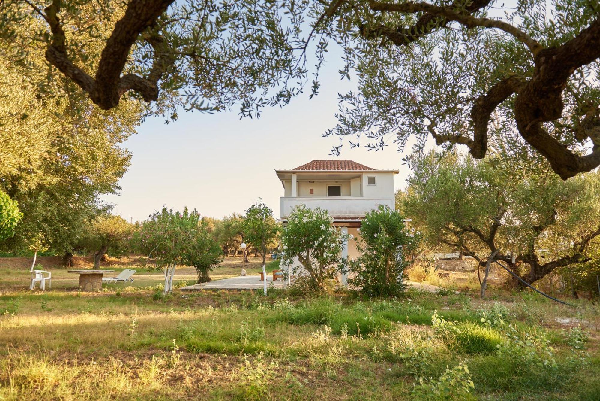 Villa Rania / Zante Drosia Kypseli Dış mekan fotoğraf