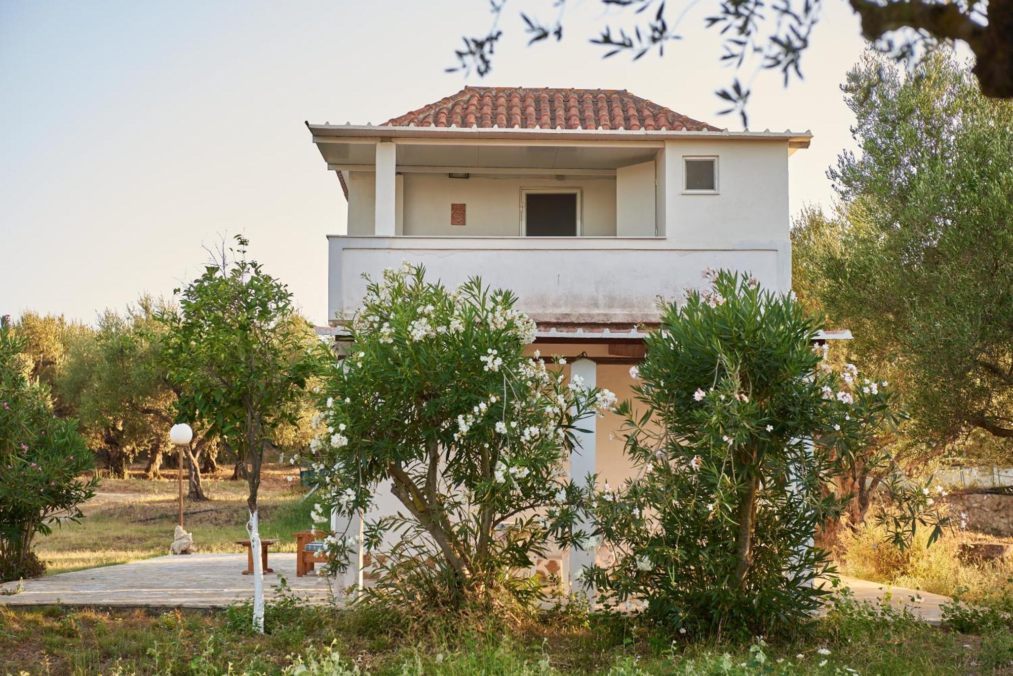 Villa Rania / Zante Drosia Kypseli Dış mekan fotoğraf