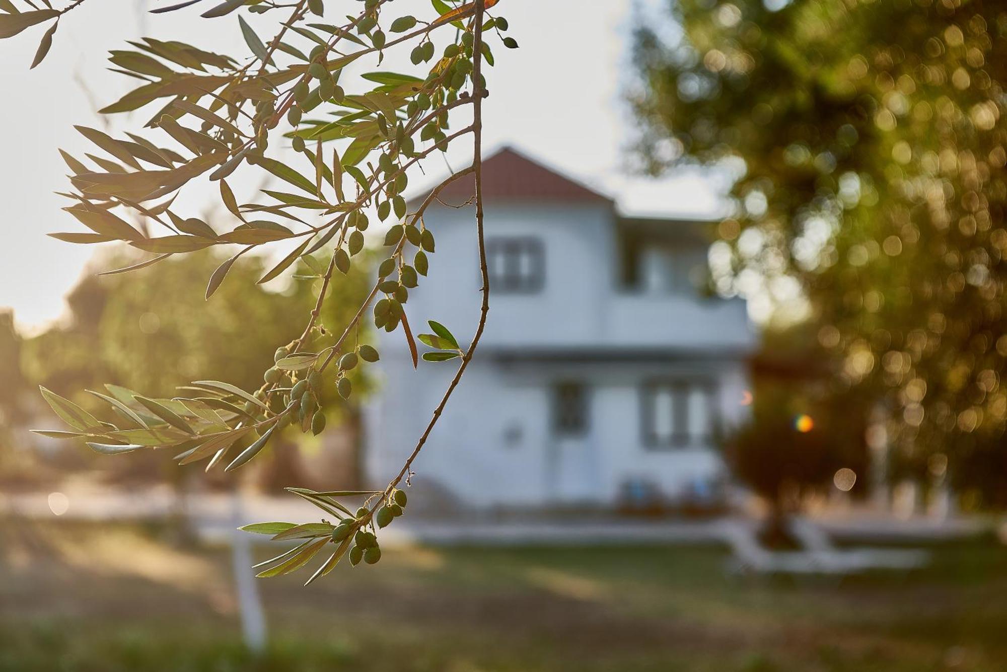 Villa Rania / Zante Drosia Kypseli Dış mekan fotoğraf
