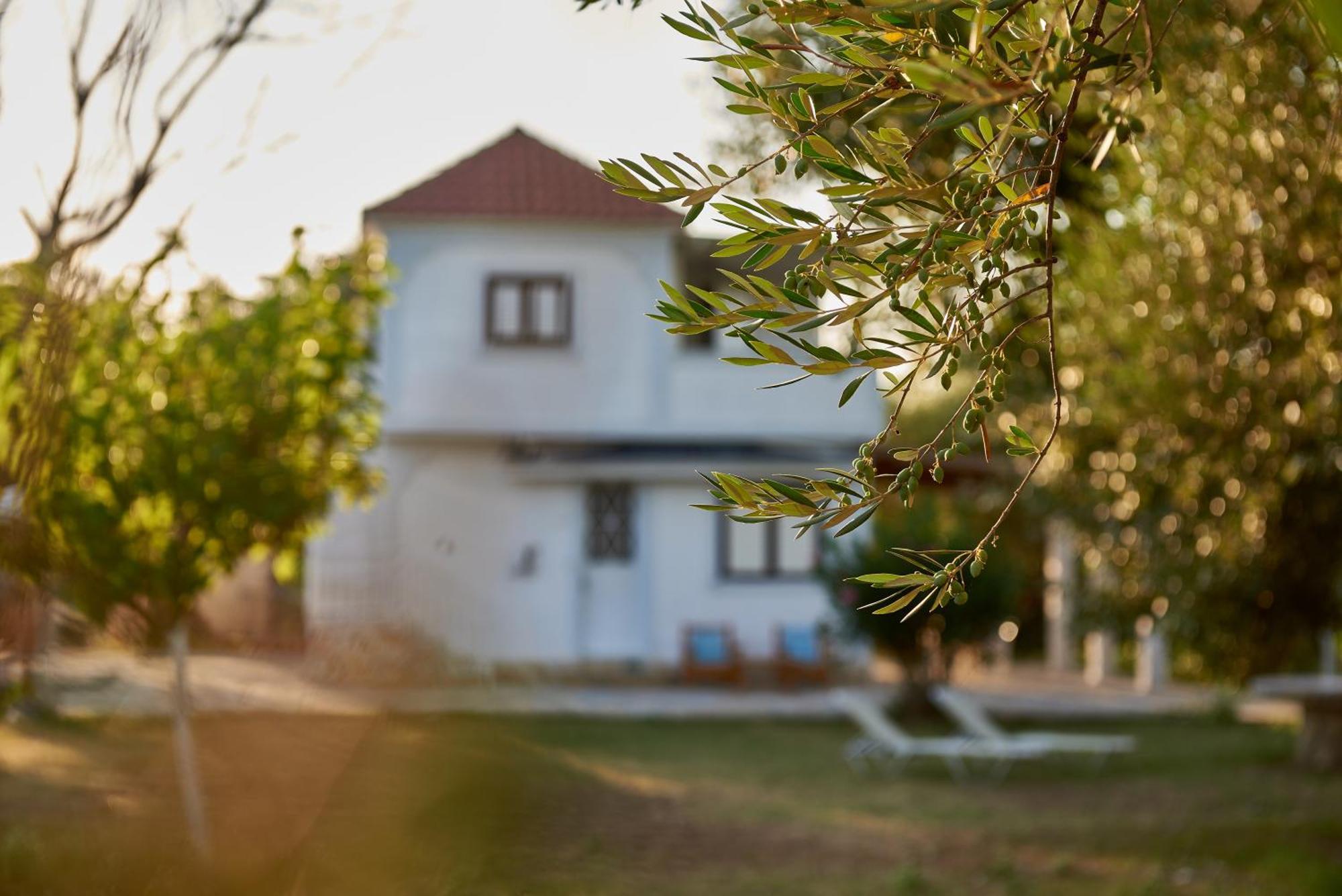 Villa Rania / Zante Drosia Kypseli Dış mekan fotoğraf