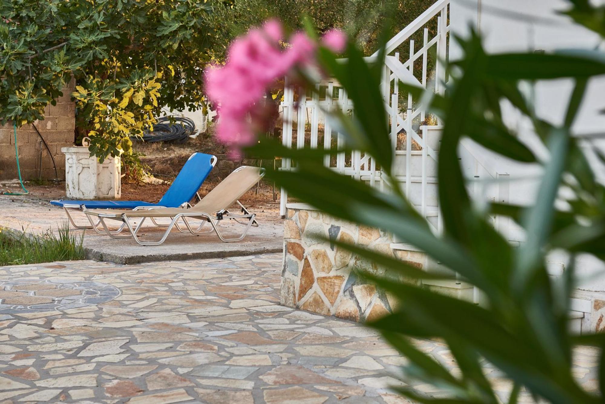 Villa Rania / Zante Drosia Kypseli Dış mekan fotoğraf